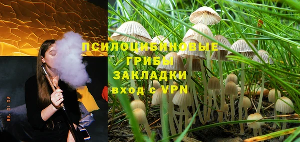 ALPHA PVP Бородино