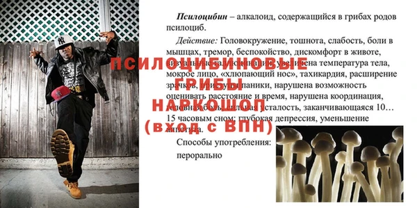 ALPHA PVP Бородино