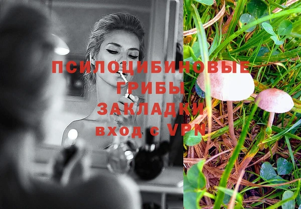 2c-b Бронницы